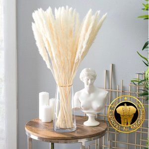 Dried 17’ Pampas Grass. (30 Stems)